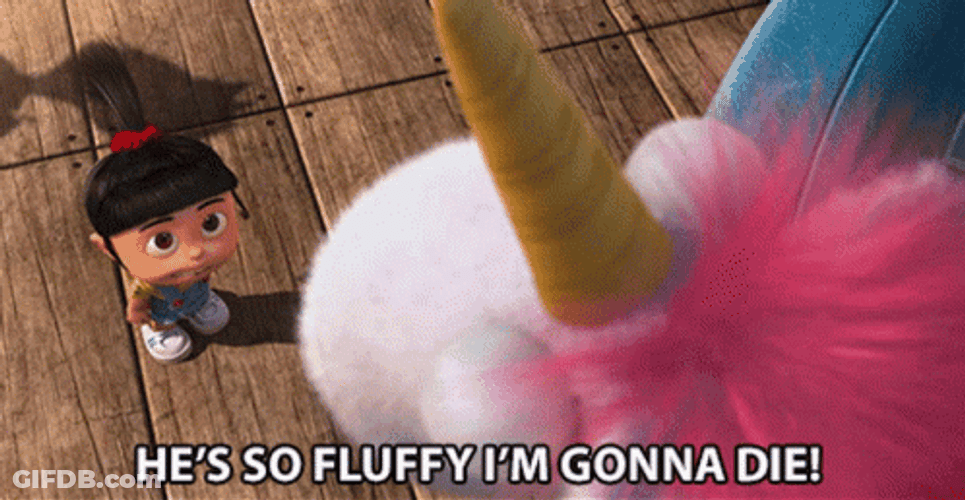 It's So Fluffy Jumping Agnes GIF