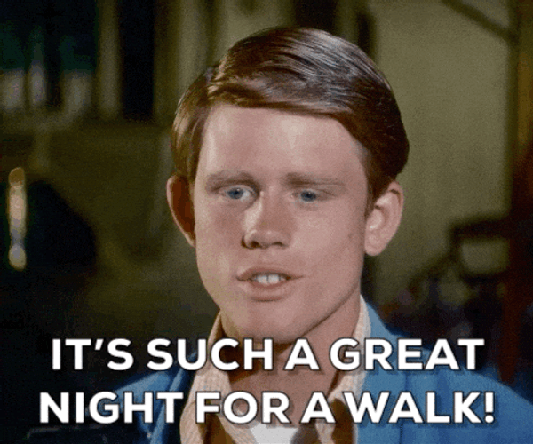 It's Such A Great Night For A Walk GIF