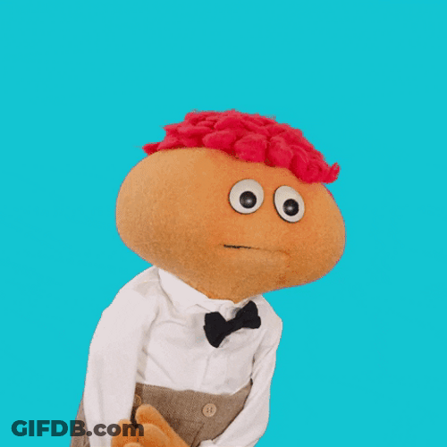 It's The Afternoon Puppet GIF