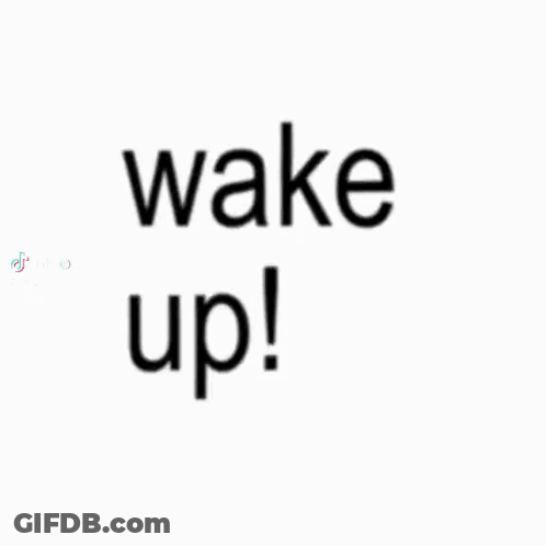 It's The First Of The Month GIF