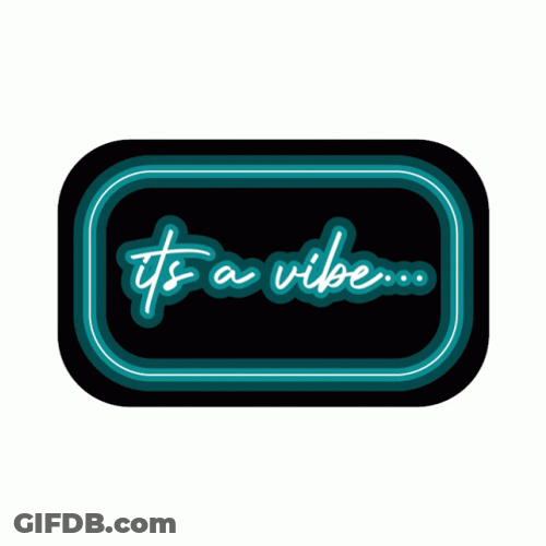 It's The Vibe GIF