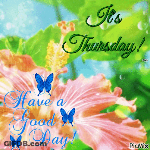 It's Thursday Greeting Card GIF