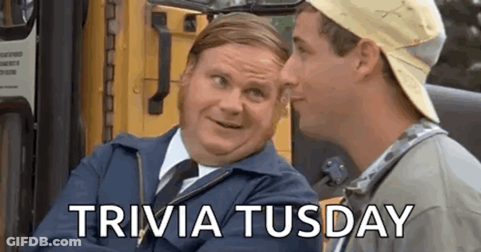It's Trivia Tuesday GIF