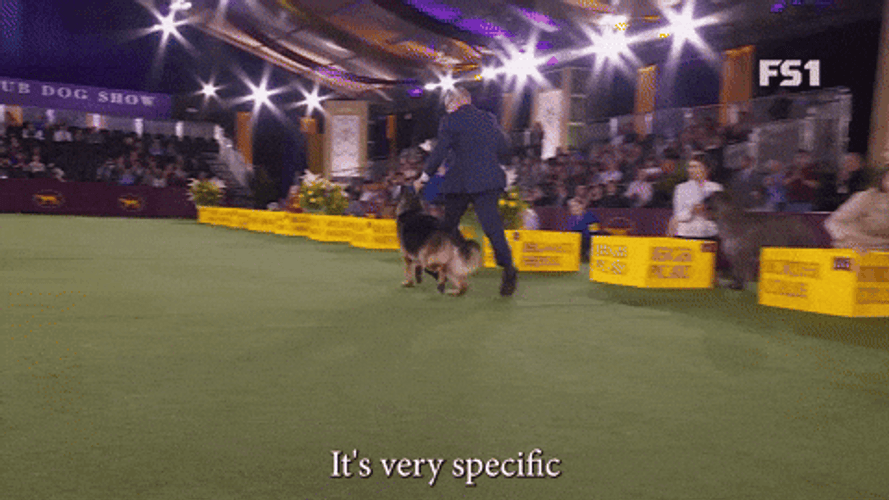 It's Very Specific To The German Shepherd GIF