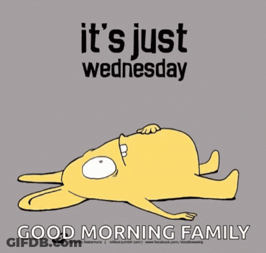 It's Wednesday Good Morning Everyone GIF