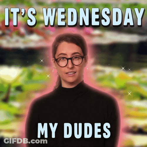 It's Wednesday My Dudes Wonderful Wednesday GIF