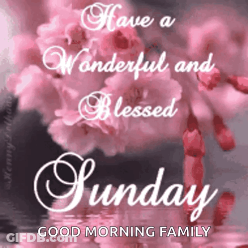 It Says `` Have A Wonderful And Blessed Sunday Good Morning Family '' With Pink Flowers In The Background . GIF
