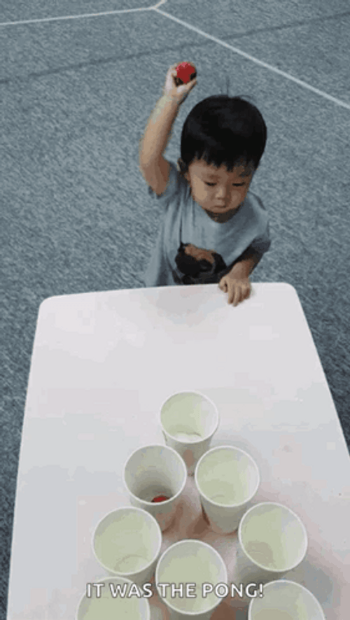 It Was The Pong GIF