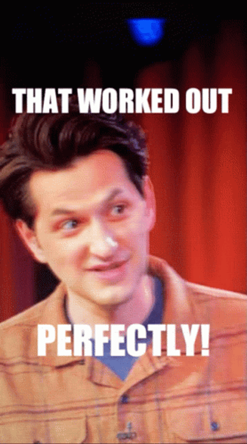 It Worked Perfectly GIF