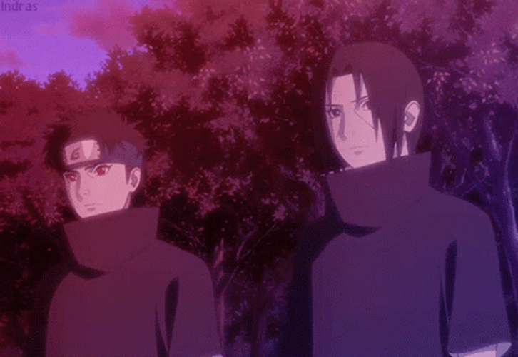 Itachi And Shisui Standing In Shikkotsu Fores GIF