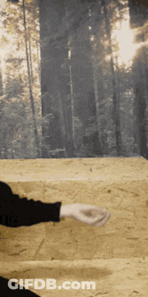 Italian Hand Gesture Demonstration GIF