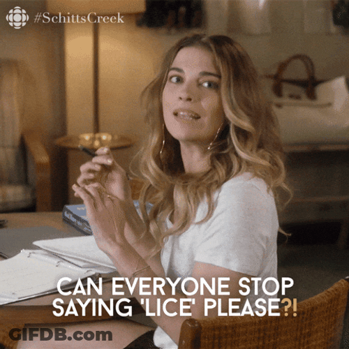 Itchy Stop Saying Lice GIF