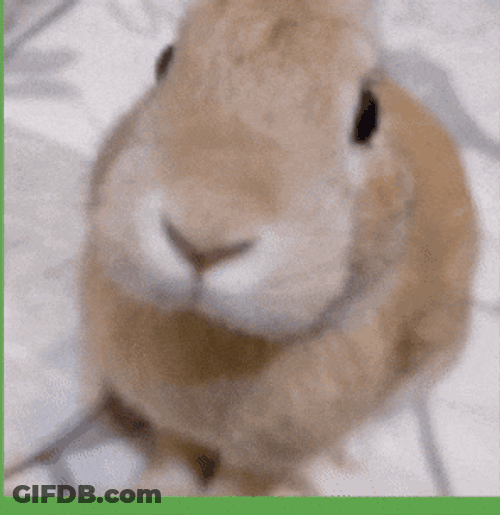 Item Asylum Slungus GIF