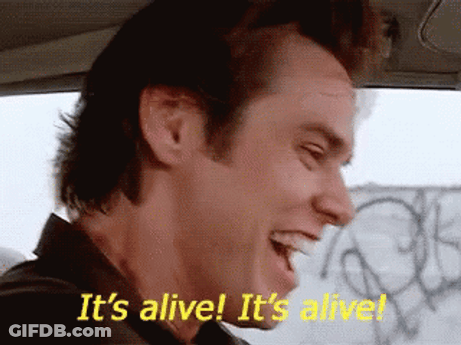 Its Alive Excited Jim Carrey GIF