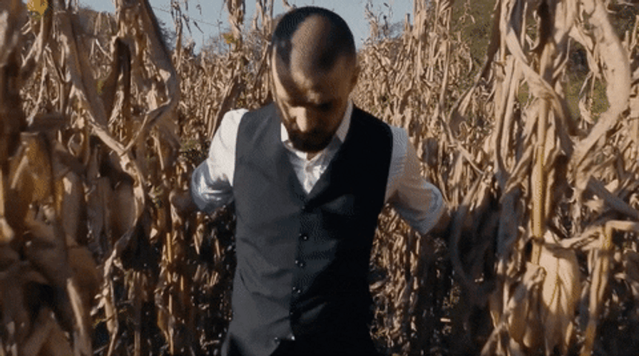 Its Corn Justin Timberlake Music Video GIF