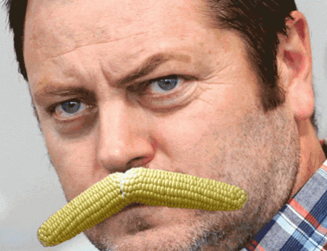 Its Corn Moustache Nick Offerman GIF