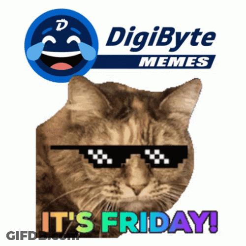 Its Cute Cat Friday Meme GIF