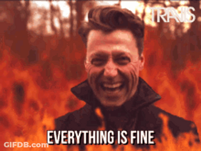 Its Fine But I'm On Fire GIF