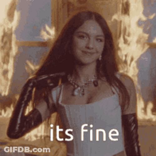 Its Fine But On Fire GIF