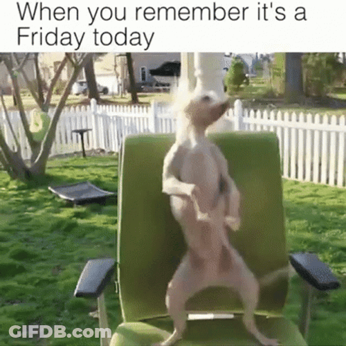 Its Friday Meme Today GIF