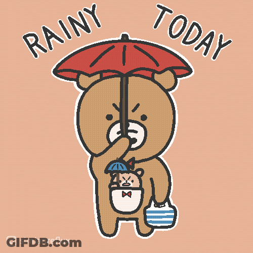 Its Gonna Rain Brown Bear GIF