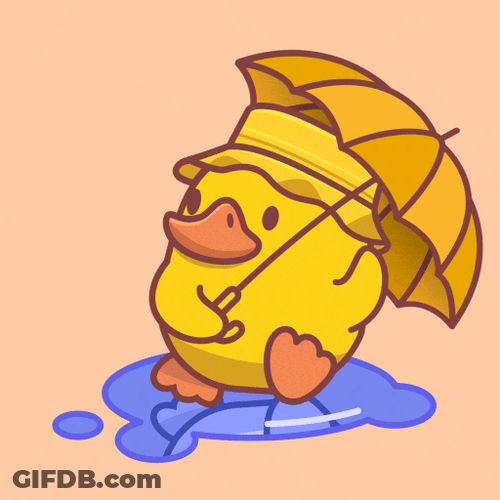 Its Gonna Rain Cute Baby Duck GIF