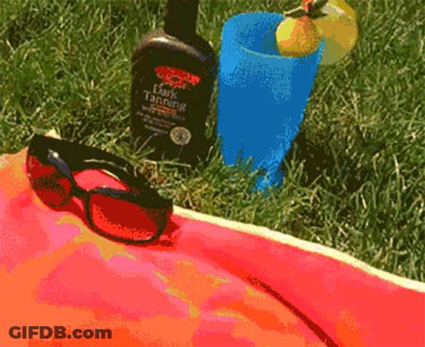 Its Hot Dog Bikini Sunbathing GIF