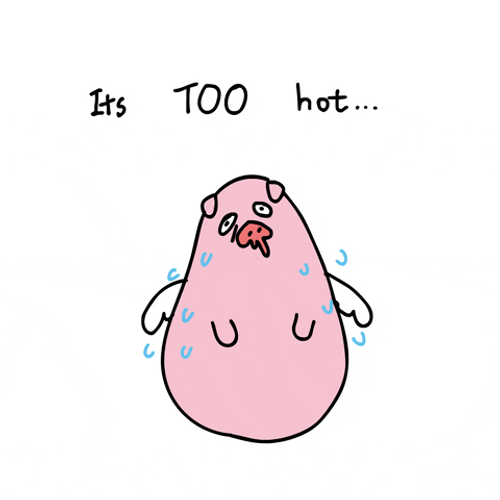 Its Hot Summer Pig Angel Melt GIF