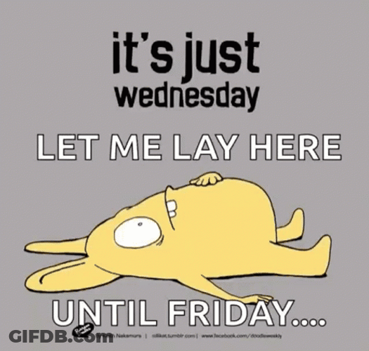Its Just Me Wednesday Morning Funny GIF