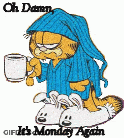 Its Monday Grumpy Garfield GIF