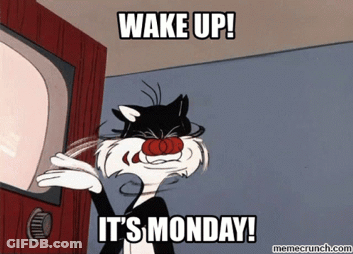 Its Monday Wake Up Sylvester GIF