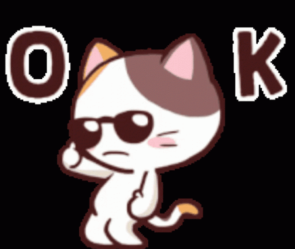 Its Ok Dancing Cat GIF