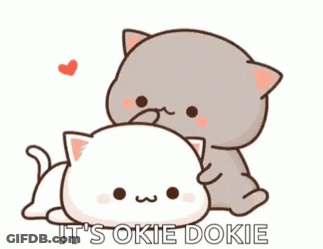 Its Okay Dokie Cats GIF