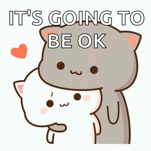 Its Okay It's Going To Be Okay Cats GIF