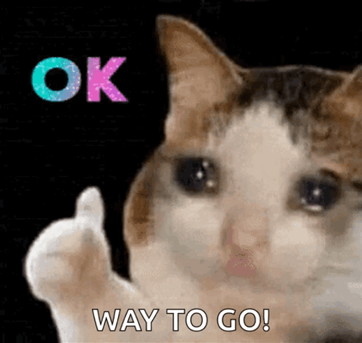 Its Okay Way To Go Teary Eye Cat GIF