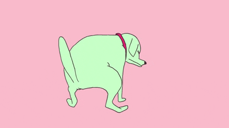 Its Poop Again Dog Trying Hard To Poop GIF