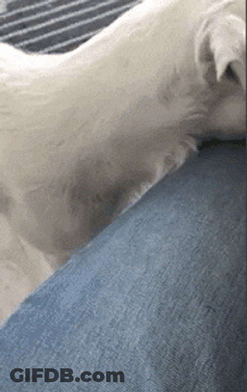 Its Poop Again I Need To Poop Again GIF