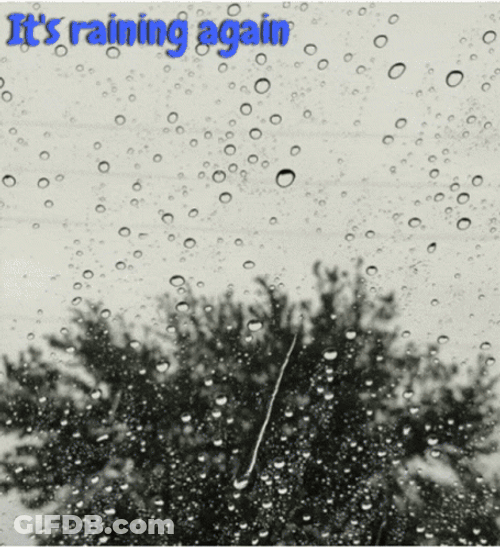 Its Rainy Monday Again GIF