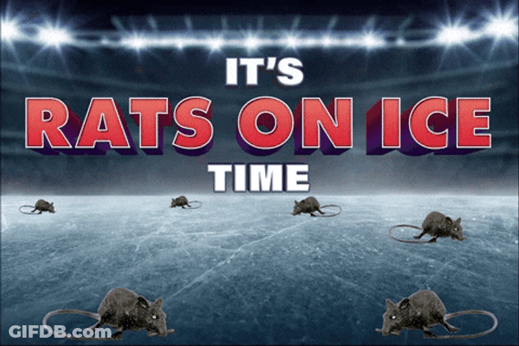 Its Rat Showering On Ice Time GIF