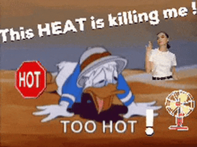 Its So Hot Donald Duck GIF