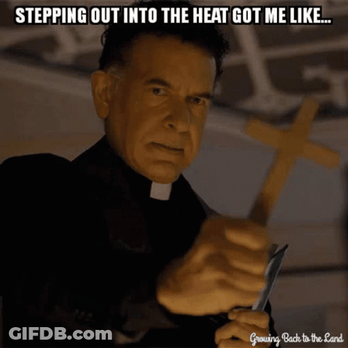 Its So Hot Exorcism Father Mulvehill GIF