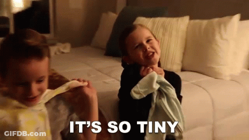 Its So Tiny Claire Crosby GIF