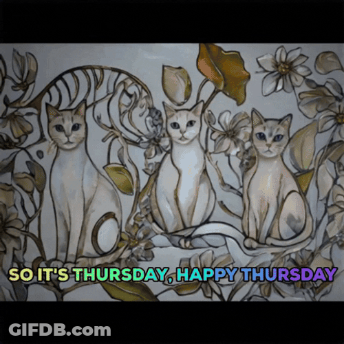Its Thursday Three White Cats GIF