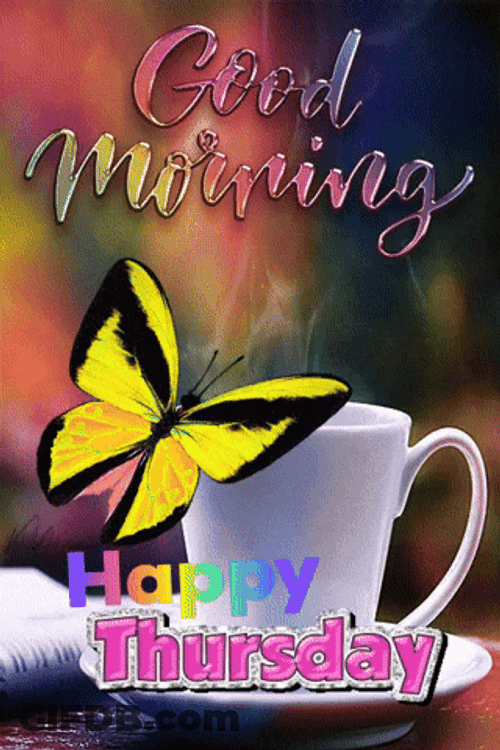 Its Thursday Yellow Butterfly GIF