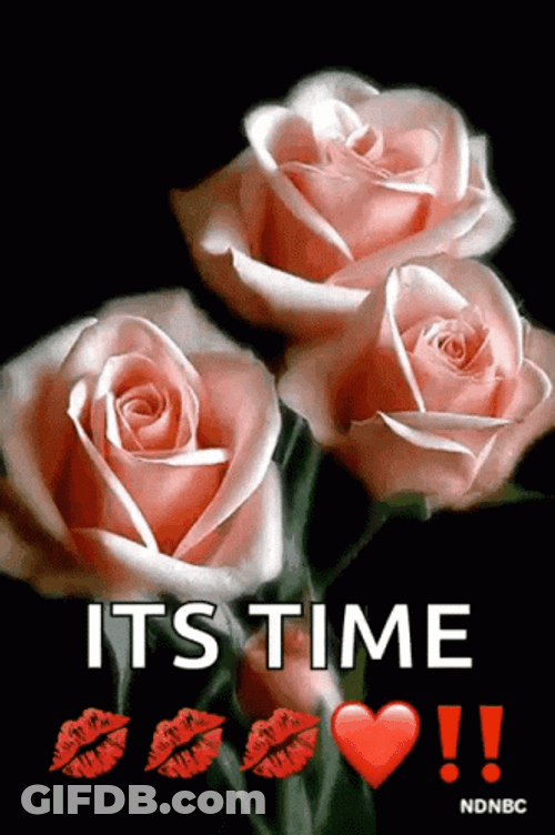 Its Time Pink Rose Flower Blooming GIF