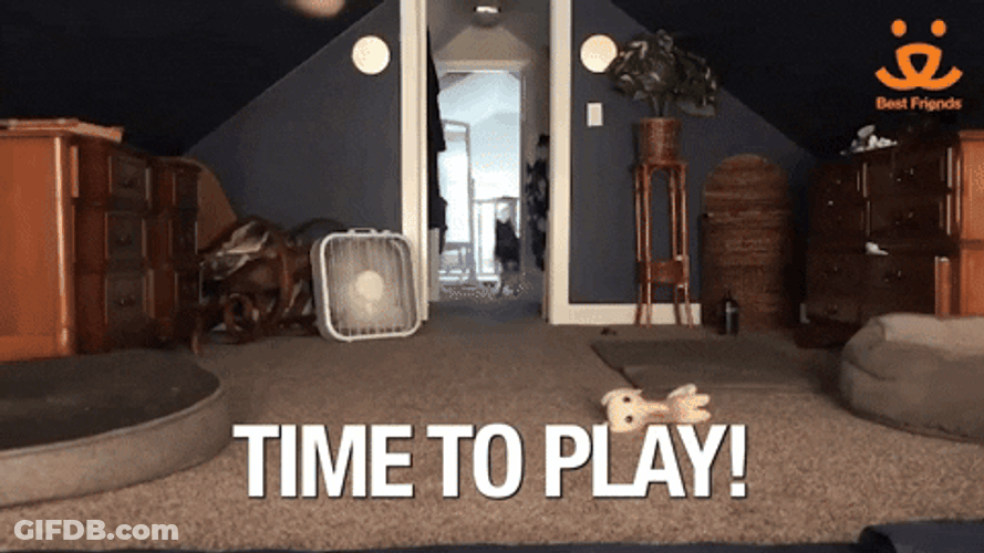 Its Time To Play The Game Chaotic Dogs GIF