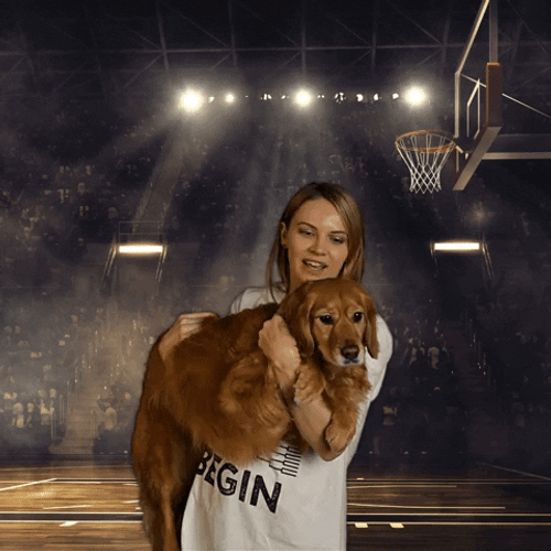 Its Time To Play The Game Cute Puppy GIF