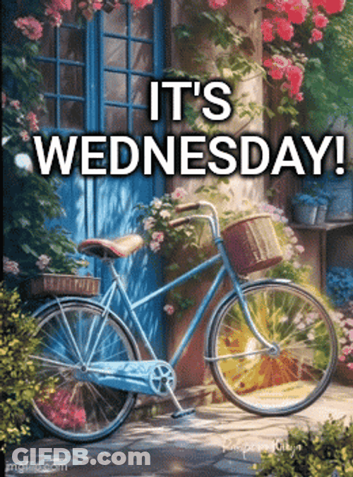 Its Wednesday Beautiful Bicycle GIF