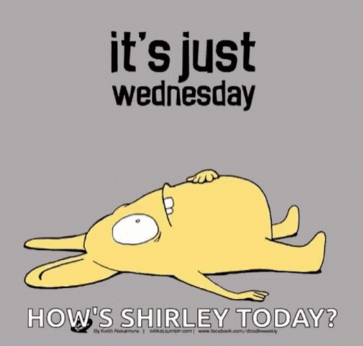 Its Wednesday Hows Shirley Today GIF