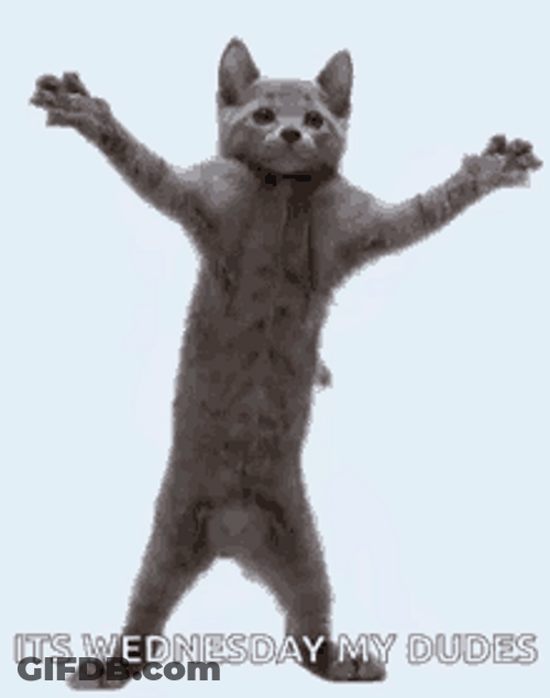 Its Wednesday My Dudes Dancing Cat Animation GIF